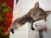 Как сделать отопление в доме?