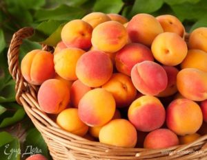 Какие сорта абрикосов надо покупать в Спб для приготовления джема